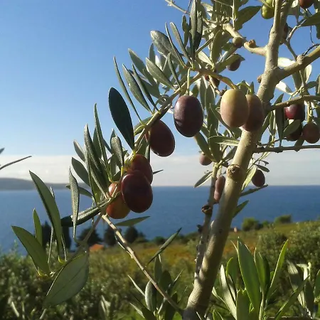 Inzomare Hvar