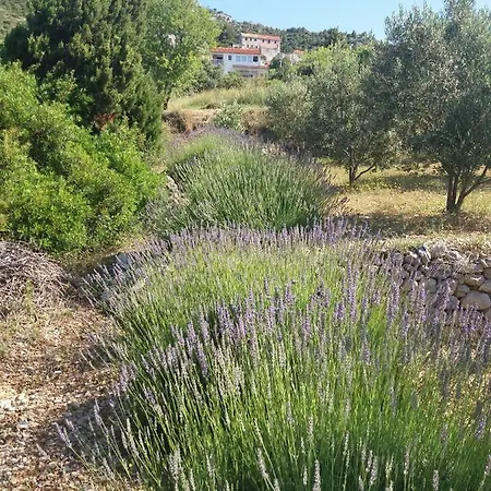 Inzomare Hvar Zavala