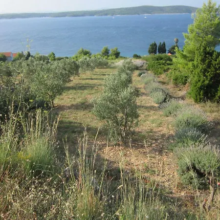Inzomare Hvar Zavala