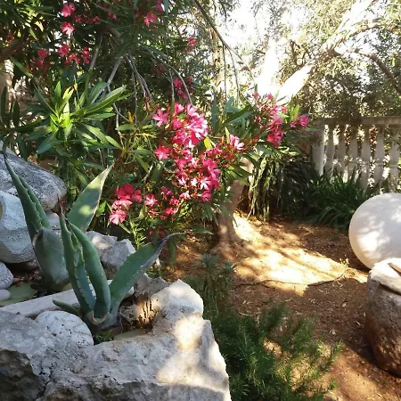 Inzomare Hvar