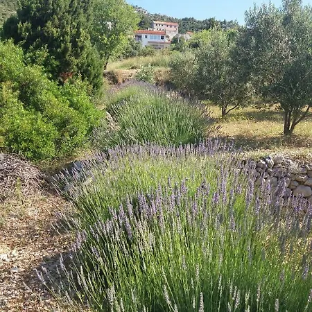 Inzomare Hvar 萨瓦拉